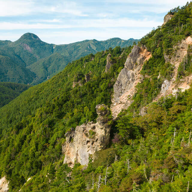 北海道の山林売買